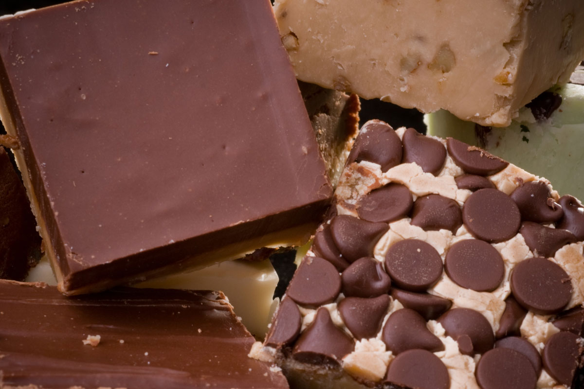 Whetstone Chocolate Factory Tasting Tour Discount Tickets